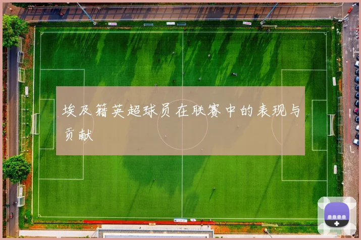 埃及籍英超球员在联赛中的表现与贡献