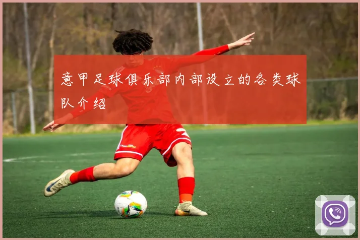 意甲足球俱乐部内部设立的各类球队介绍