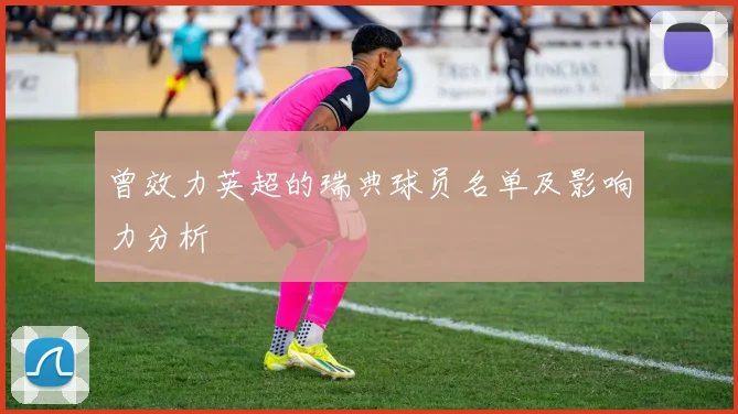 曾效力英超的瑞典球员名单及影响力分析